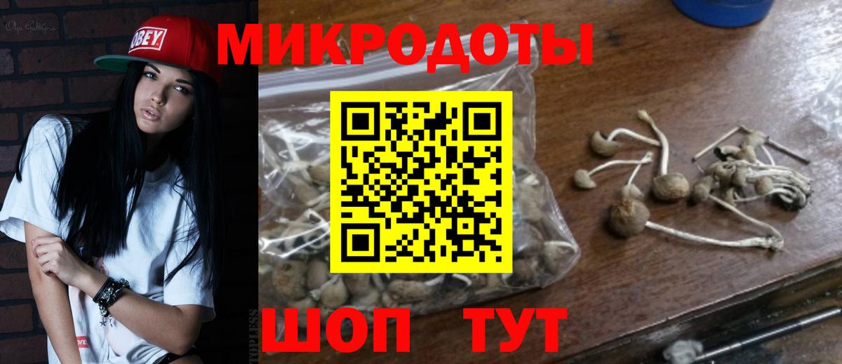 Галлюциногенные грибы MAGIC MUSHROOMS  Псилоцибиновые грибы Psilocybine cubensis  Вход с VPN  закладка  Красноармейск 
